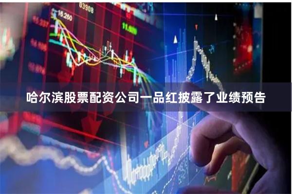 哈尔滨股票配资公司一品红披露了业绩预告