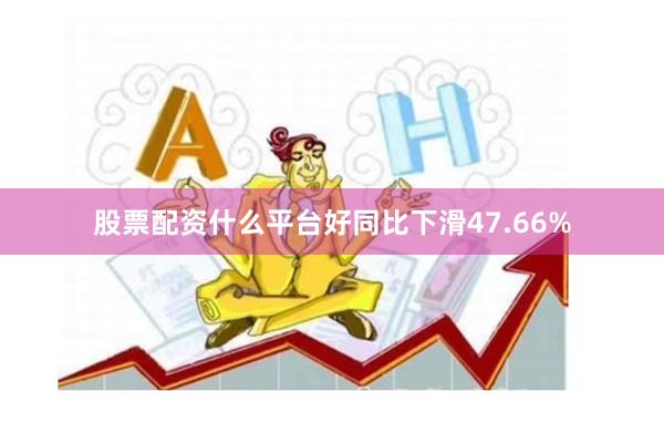 股票配资什么平台好同比下滑47.66%