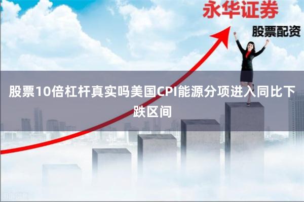 股票10倍杠杆真实吗美国CPI能源分项进入同比下跌区间