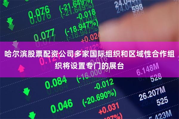 哈尔滨股票配资公司多家国际组织和区域性合作组织将设置专门的展