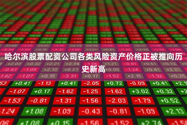哈尔滨股票配资公司各类风险资产价格正被推向历史新高