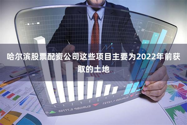 哈尔滨股票配资公司这些项目主要为2022年前获取的土地