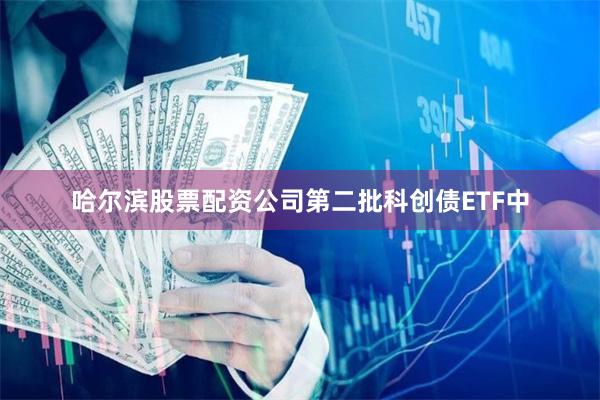 哈尔滨股票配资公司第二批科创债ETF中