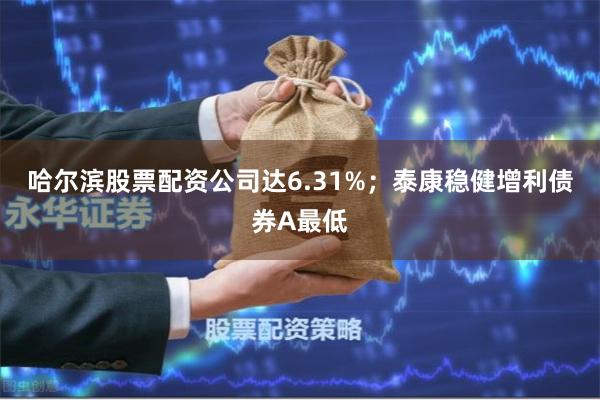 哈尔滨股票配资公司达6.31%；泰康稳健增利债券A最低